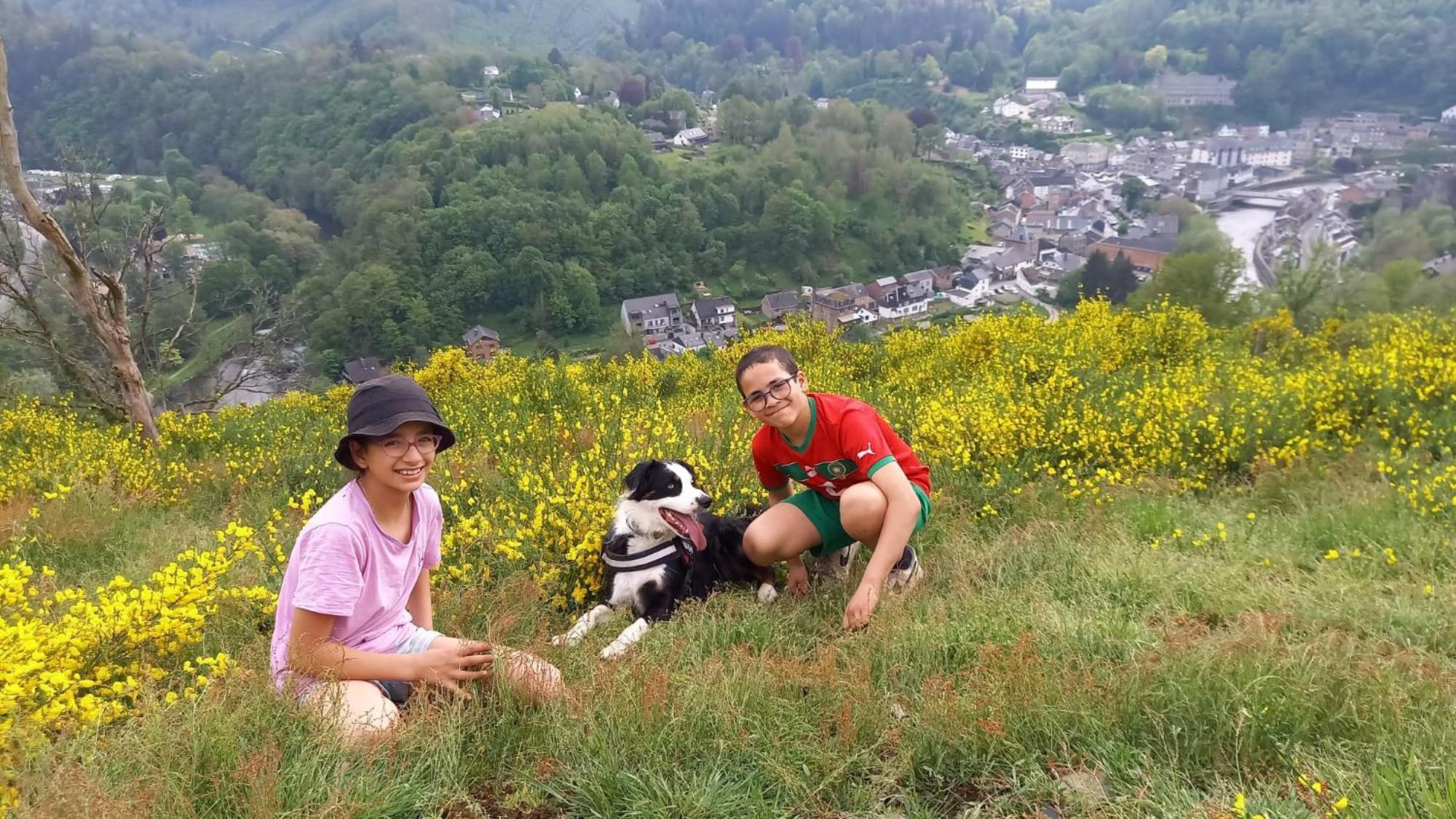 L'Abri Apartman La-Roche-en-Ardenne Kültér fotó
