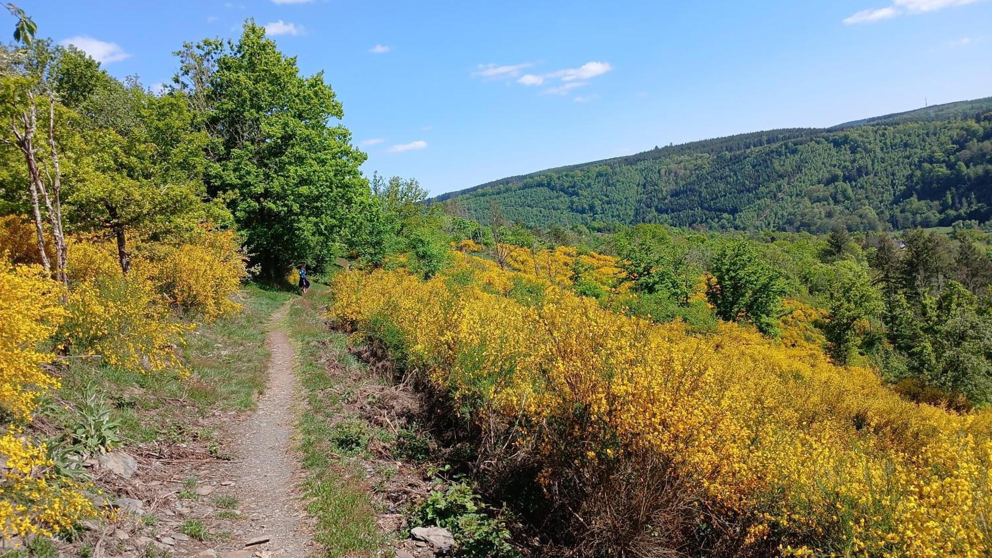 L'Abri Apartman La-Roche-en-Ardenne Kültér fotó